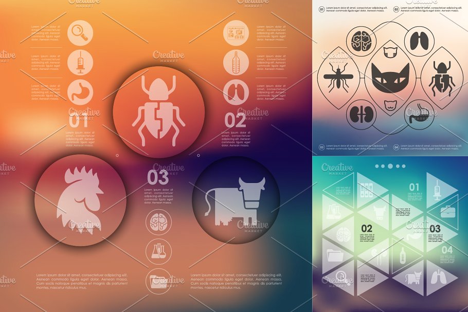 兽医生物科技信息图 9 veterinary infogra