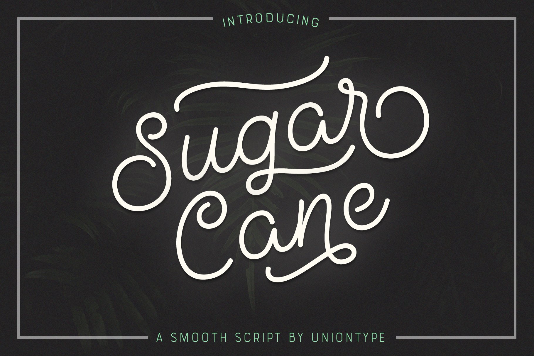 清新轻快的手写英文字体 Sugar Cane