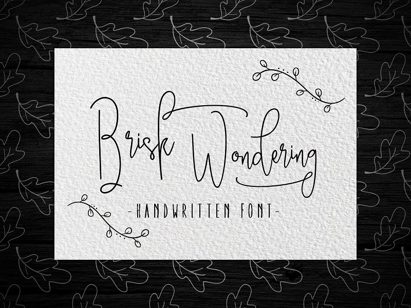 手写签名字体 Brisk wondering Handwri