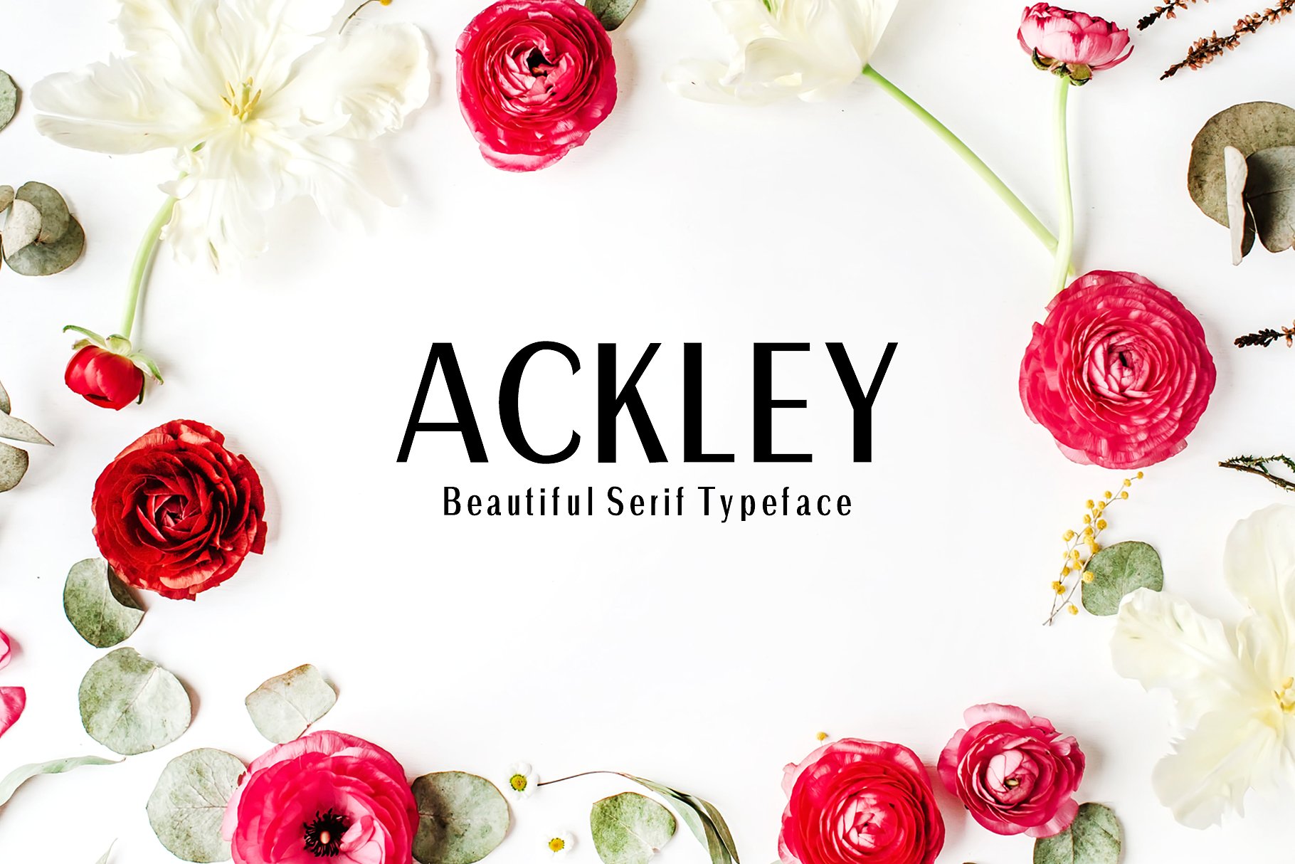 优雅品牌设计字体 Ackley Sans Serif 7 F