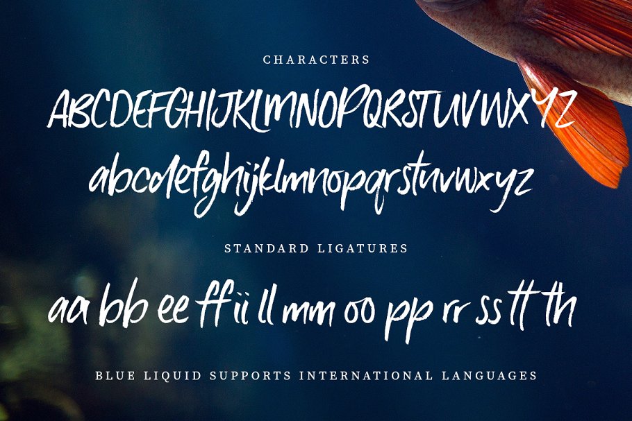 手写毛笔字体 Blue Liquid Marker Font