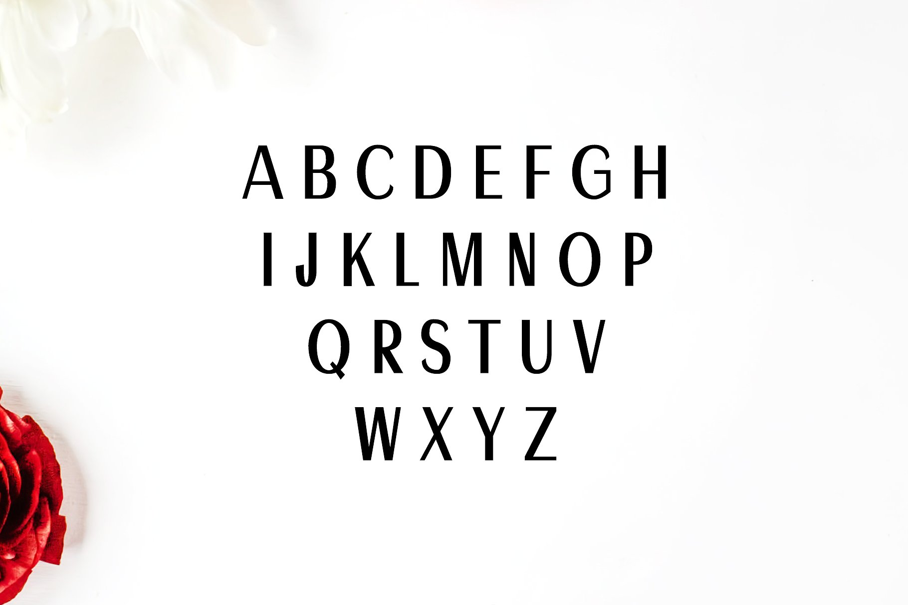 优雅品牌设计字体 Ackley Sans Serif 7 F