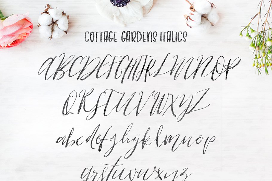 时尚优雅手写字体 Cottage Gardens Scrip