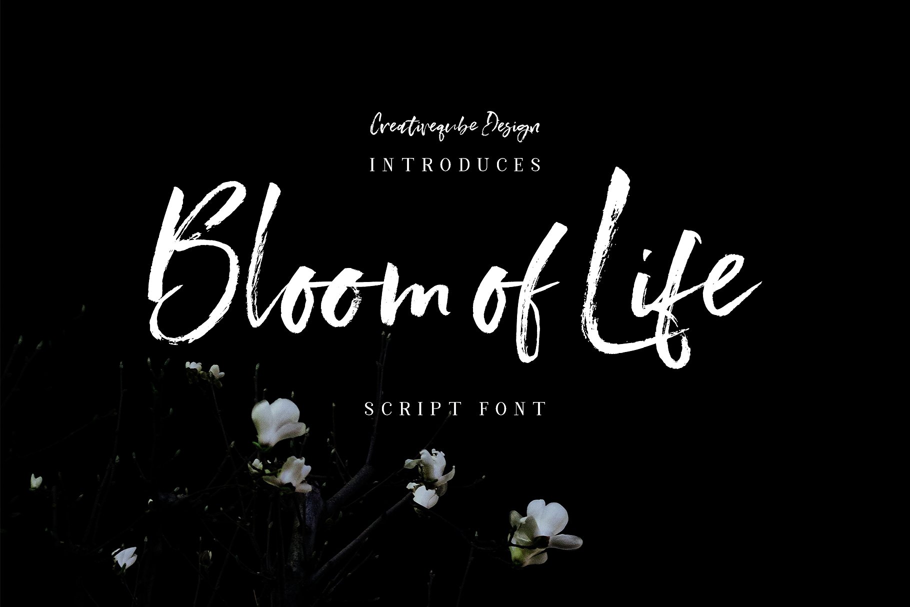 手写笔刷字体 Bloom of Life Script fo