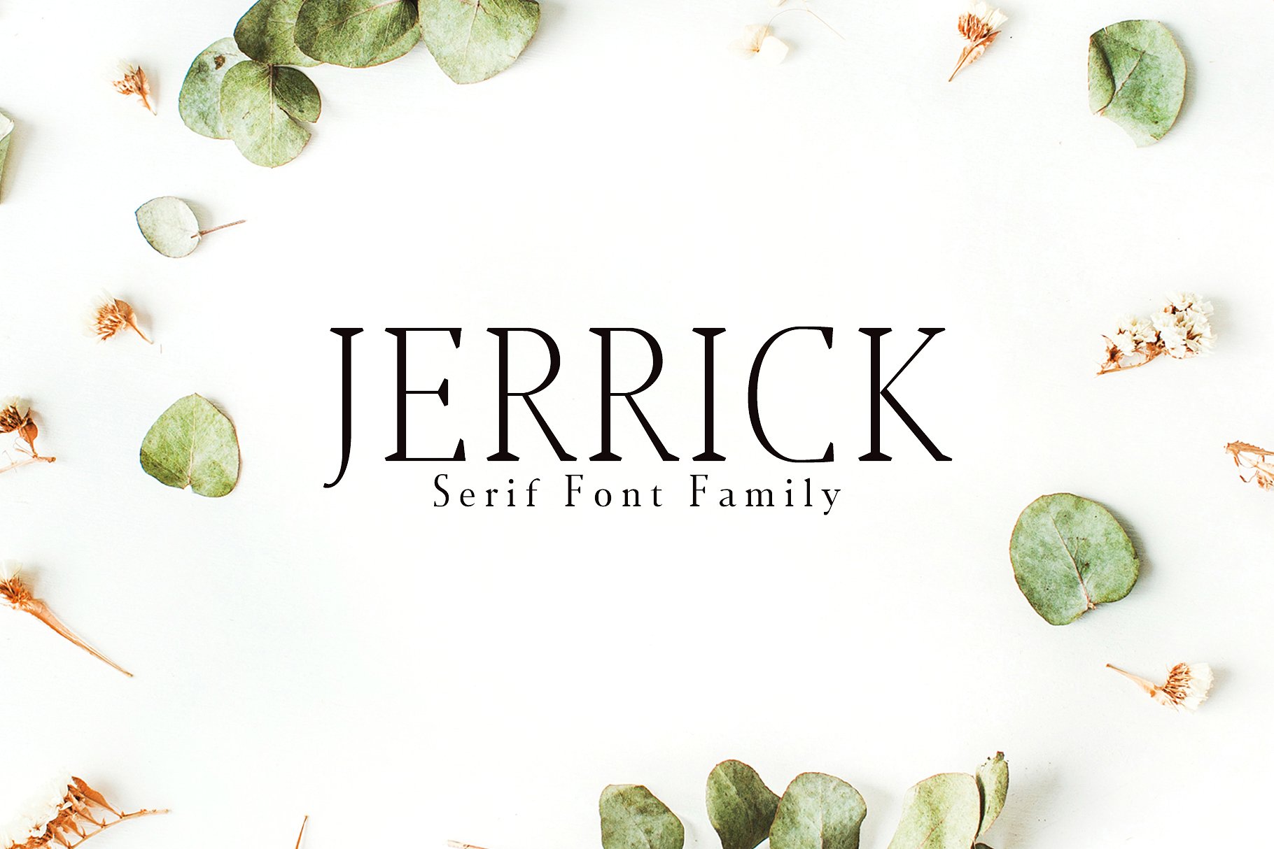 时尚高端设计字体 Jerrick Serif 6 Font