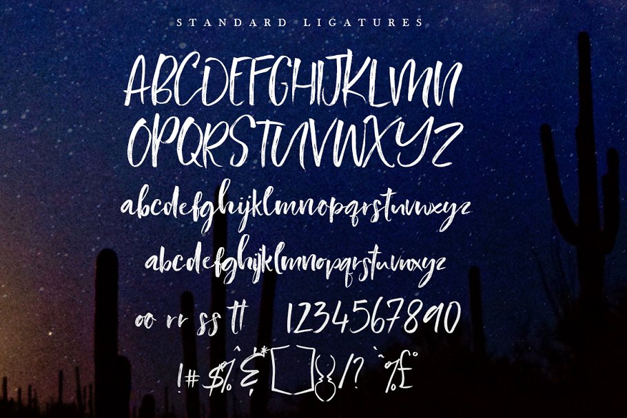 手写笔刷字体 Southerner Brush Script