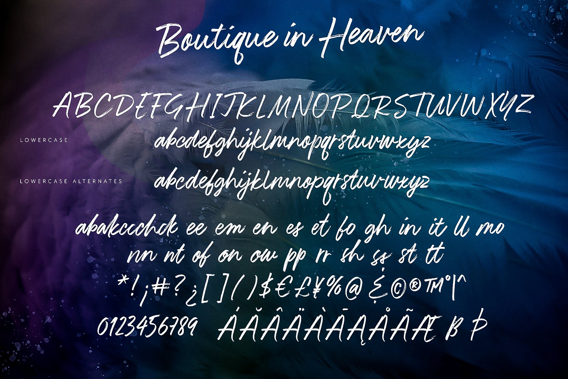 手写个性字体 Boutique in Heaven Font