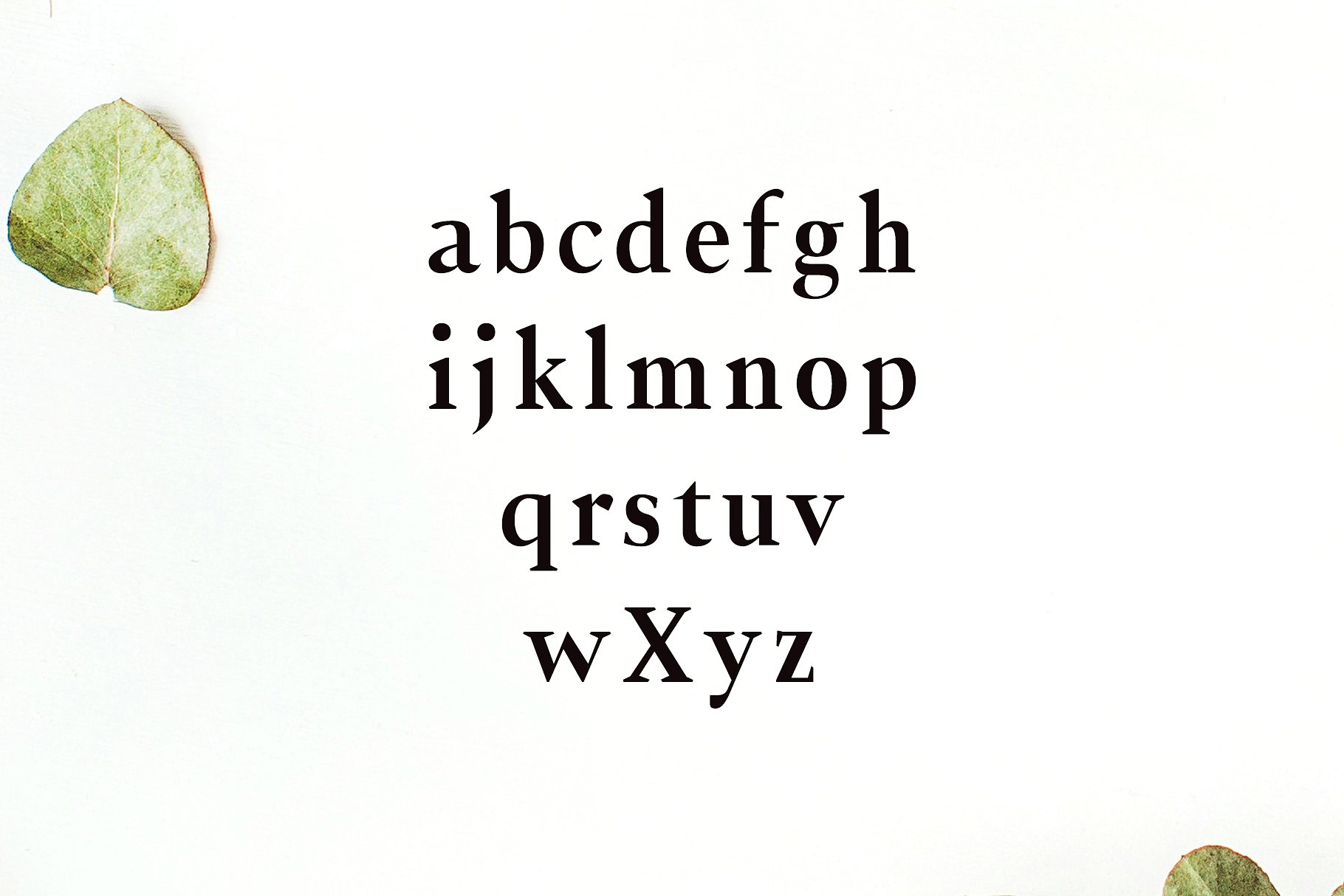 时尚高端设计字体 Jerrick Serif 6 Font
