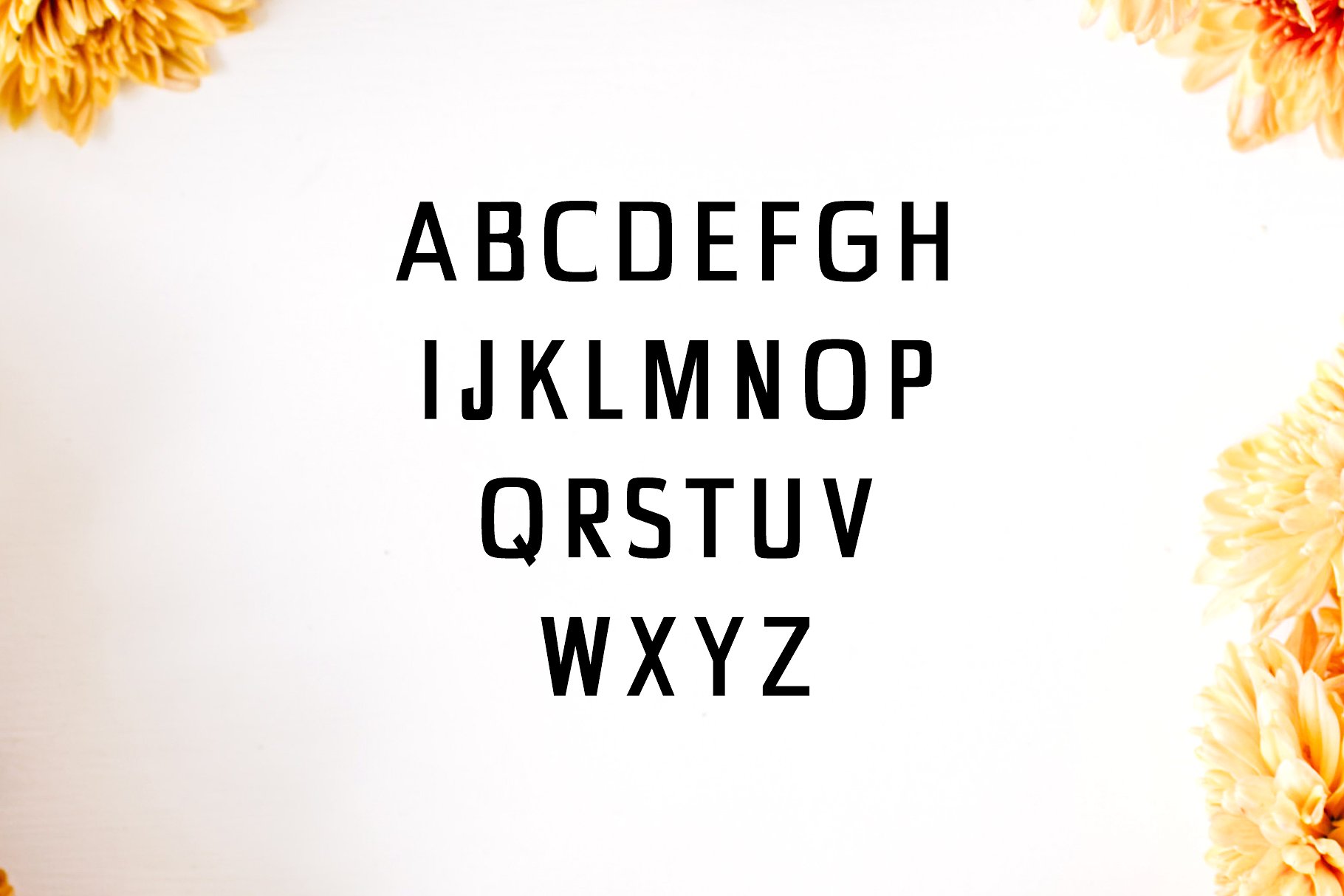 经典时尚设计字体 Chrys Sans Serif 4 Fo