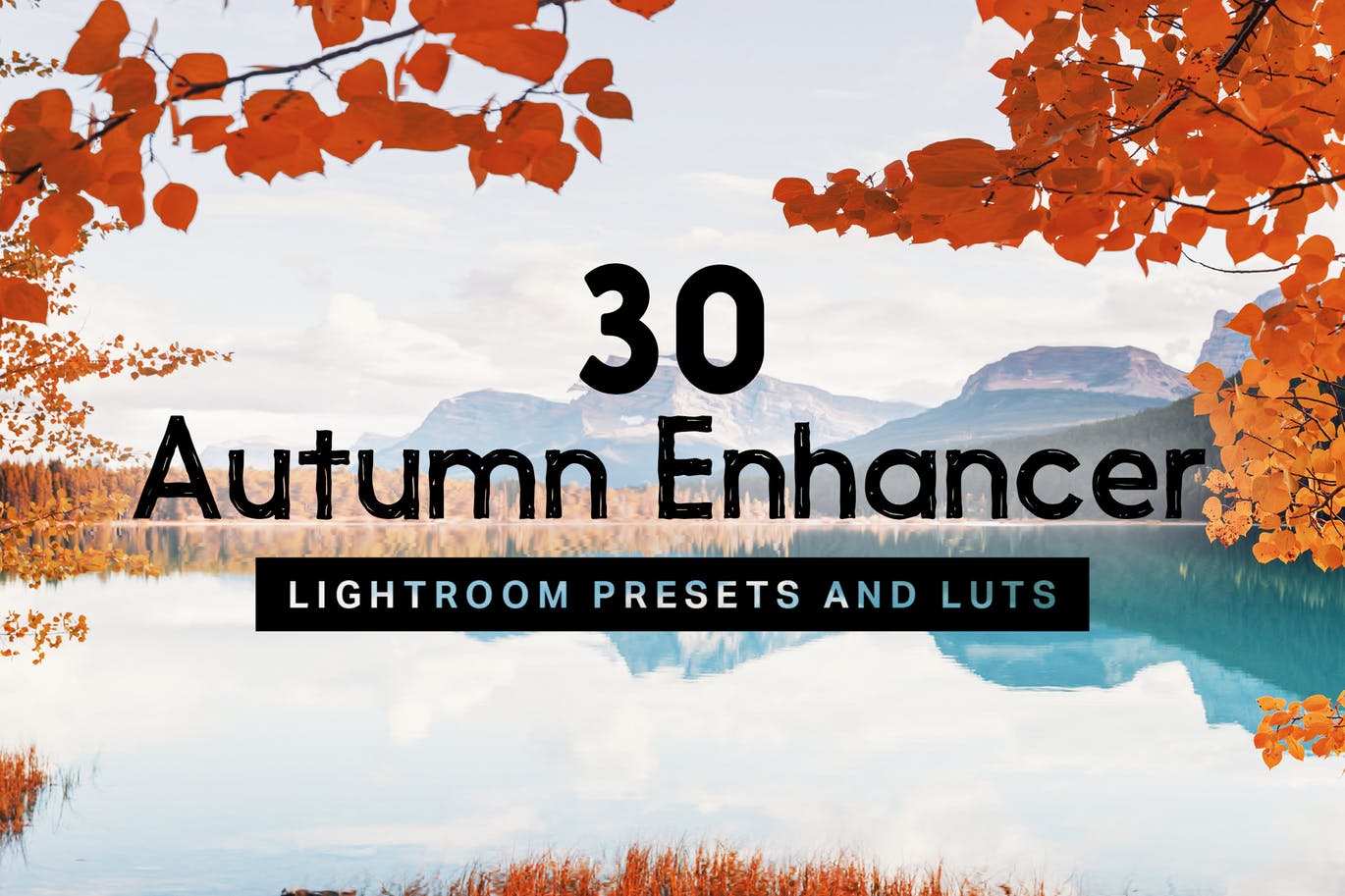 秋天增强器Lightroom预设和LUT