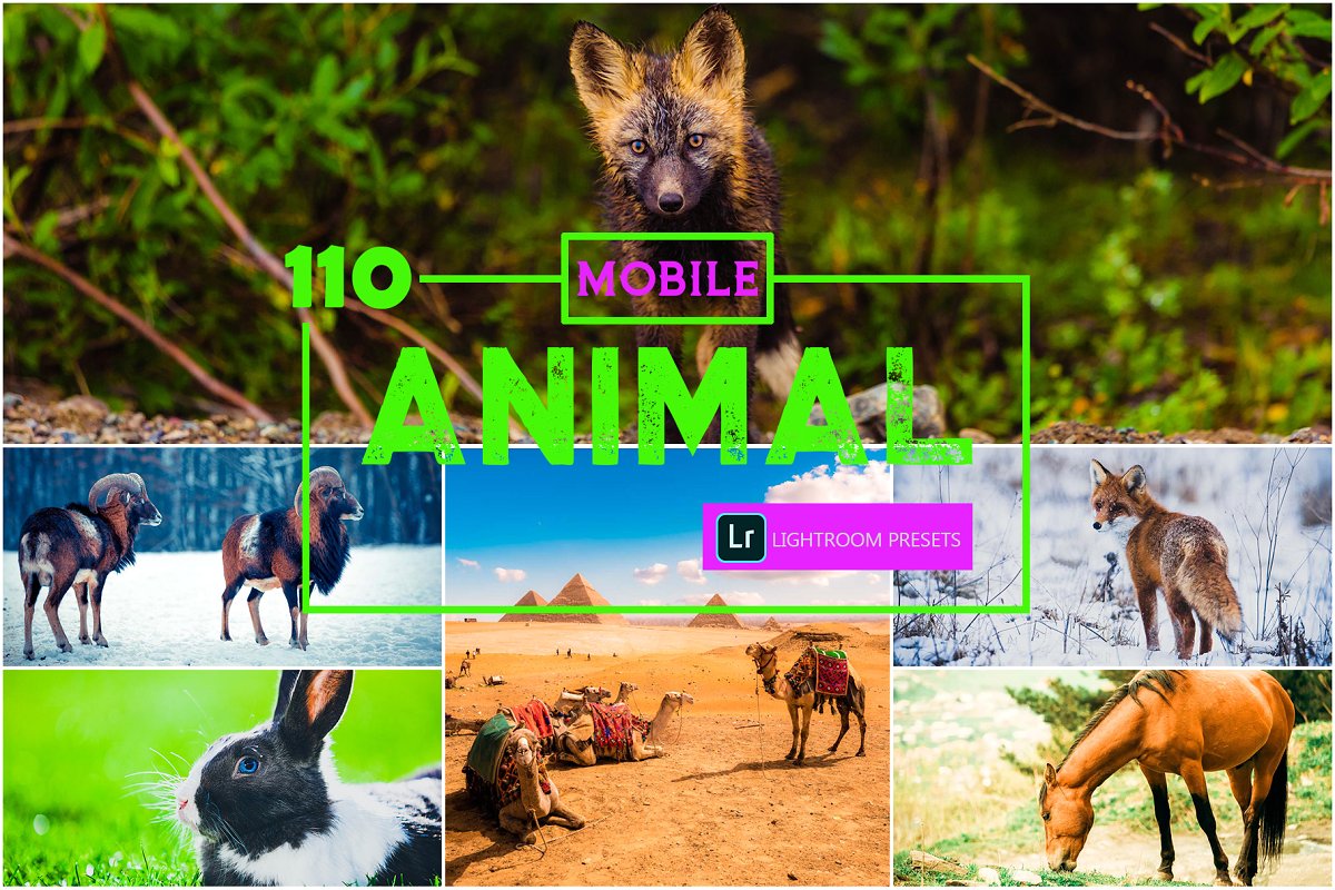 动物照片调色滤镜LR手机预设下载