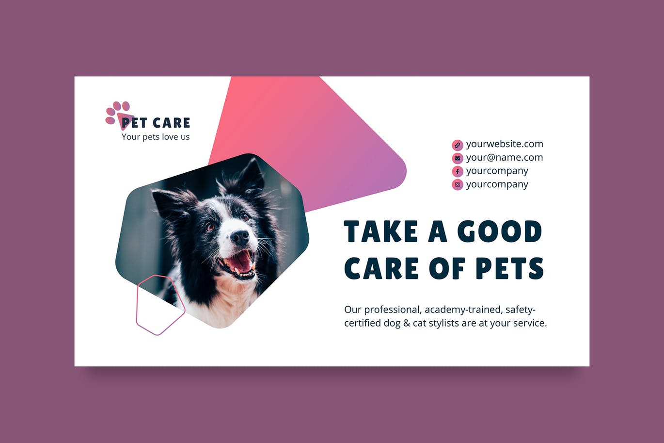 宠物护理管理PPT商业计划书模板下载