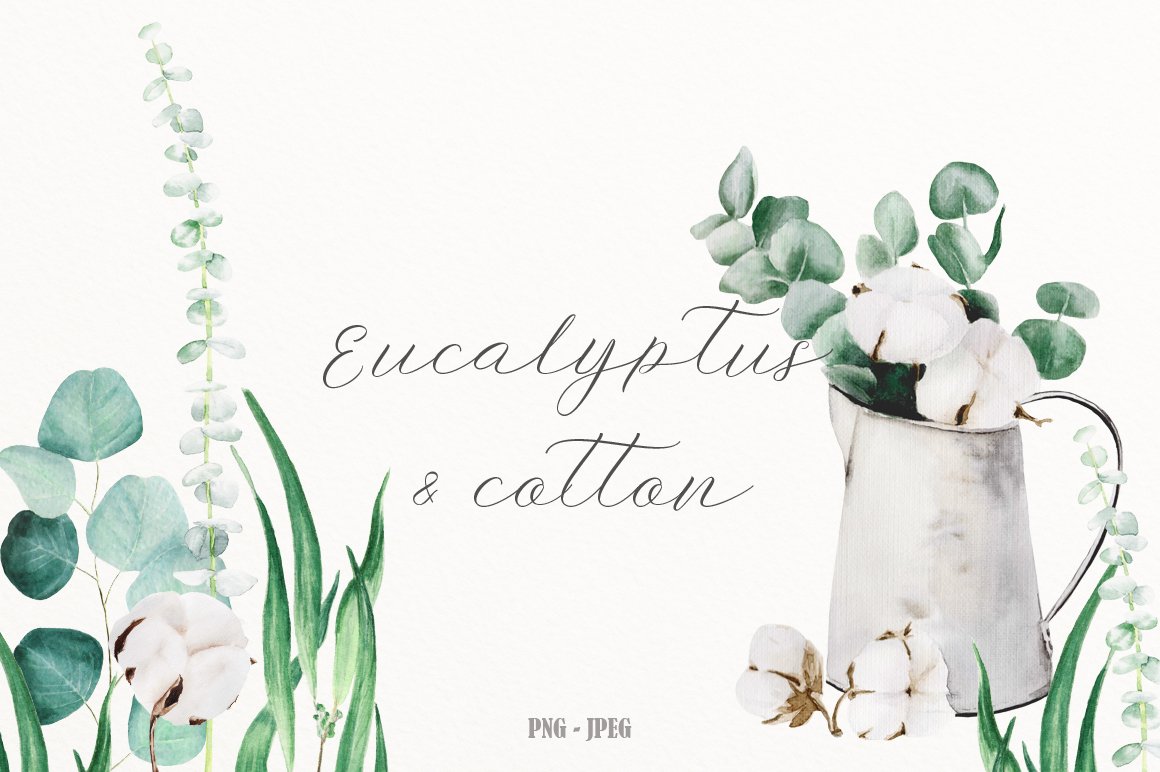 高品质手绘桉树棉花水彩剪贴画合辑 Eucalyptus &a