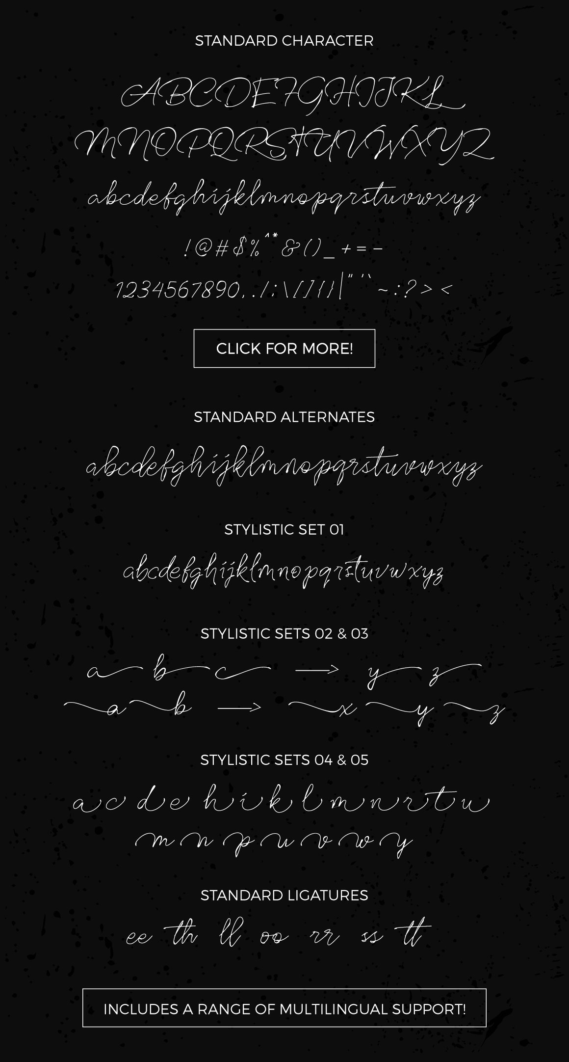 精美的签名手写英文字体 Rinstonia Signatur