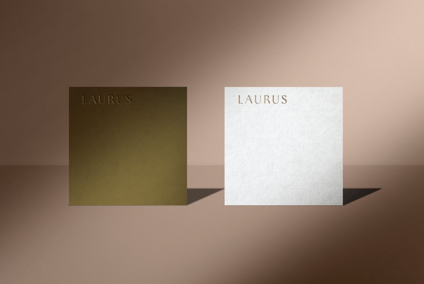 方形压印名片样机模板（具有温暖的阳光和多边的阴影）Lauru