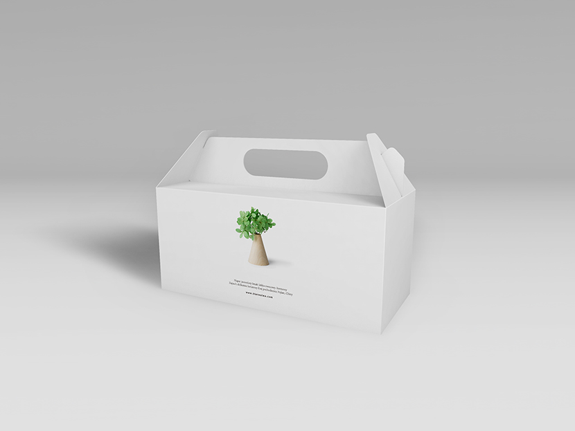 大款白卡牛皮纸水果/果汁包装礼盒包装箱智能贴图样机