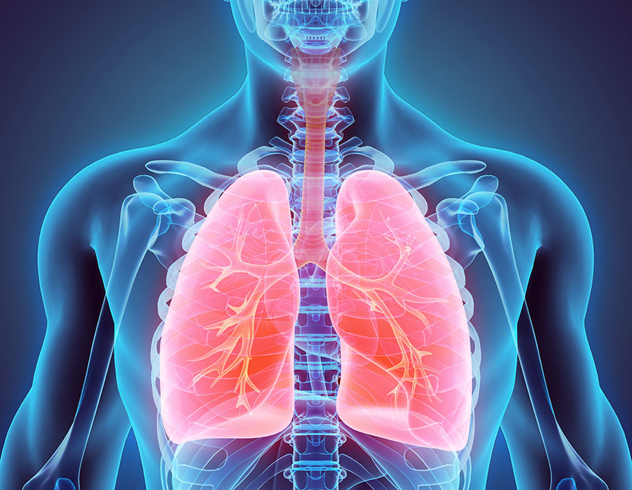 高科技感人体肺部呼吸道系统光感刨面图1