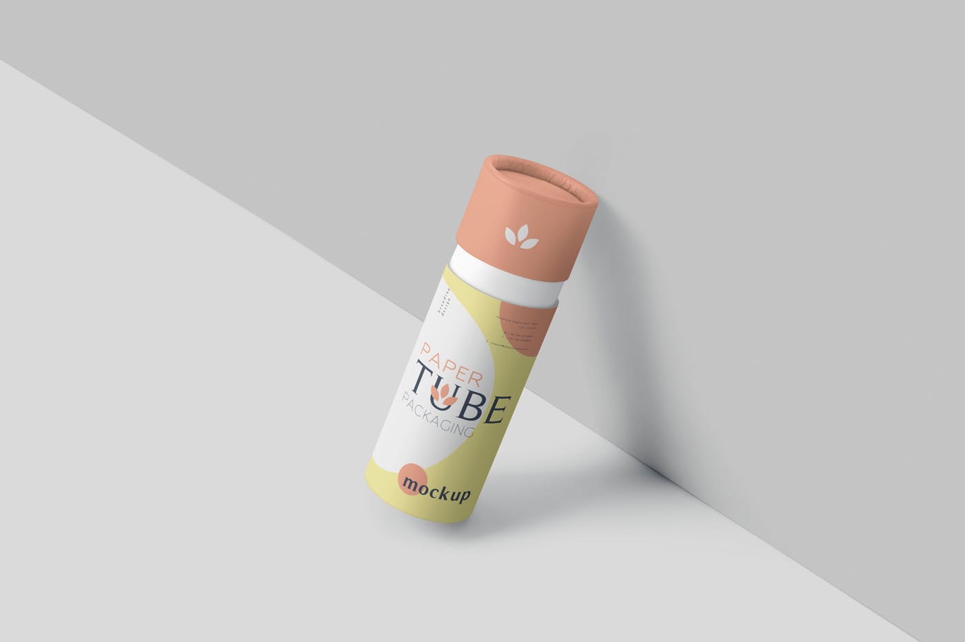 纸管包装外观设计效果图样机模板 Paper Tube Pac