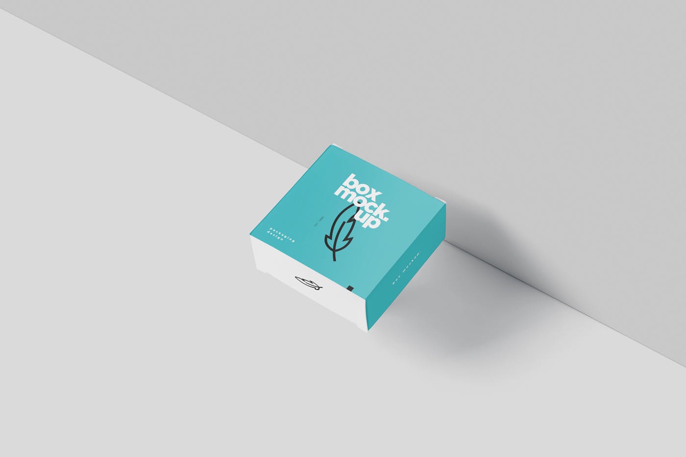 扁平方形包装盒外观设计效果图样机 Box Mockup –