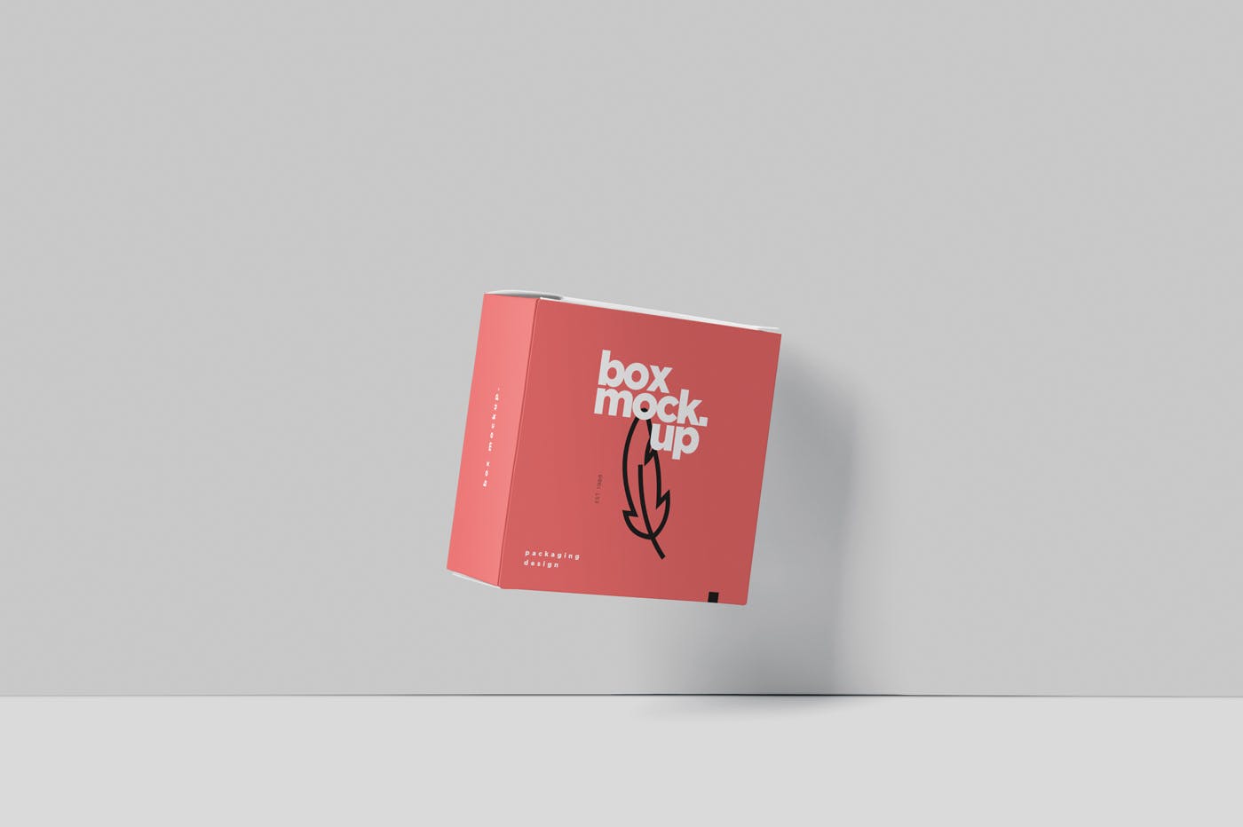 扁平方形包装盒外观设计效果图样机 Box Mockup –