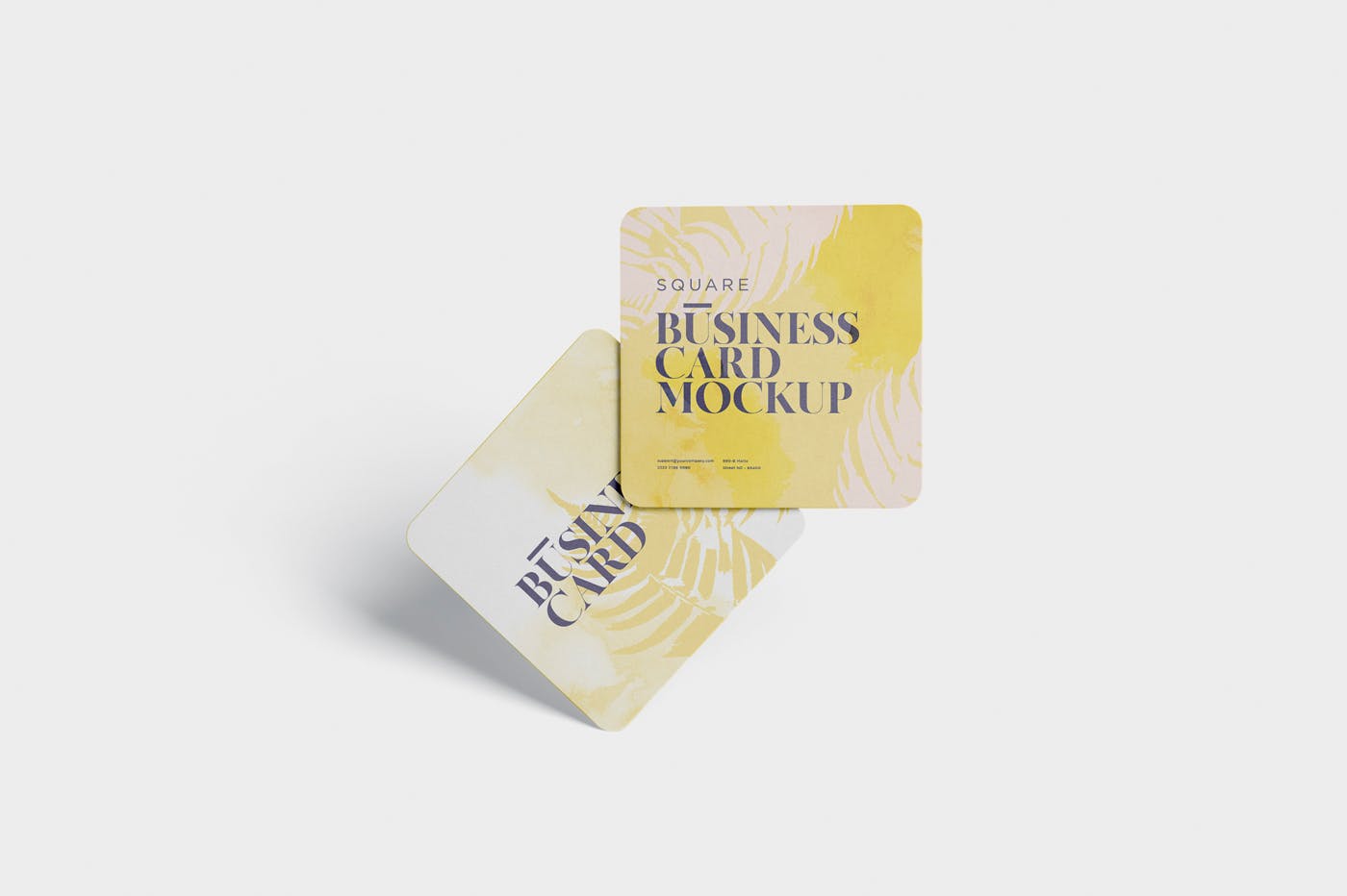 圆角设计风格企业名片效果图样机 Business Card
