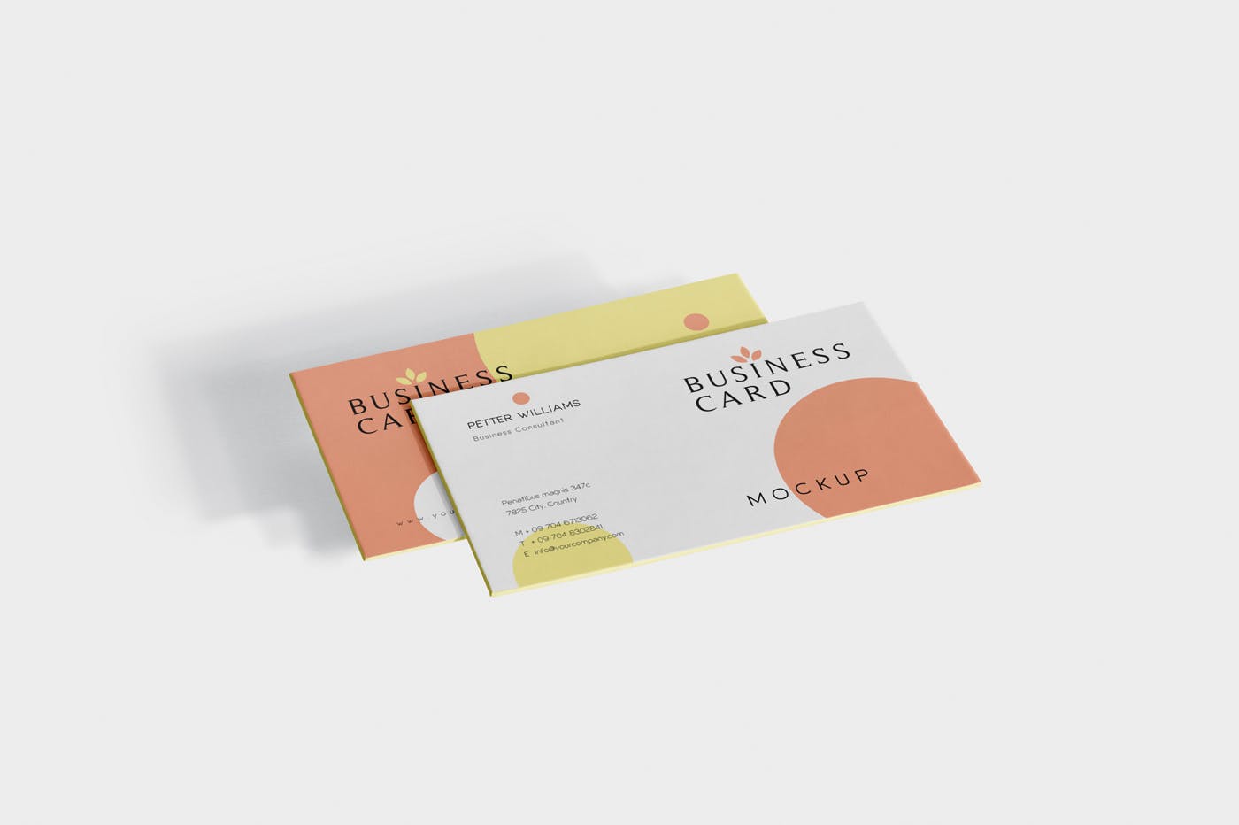 创意企业名片设计阴影效果图样机 Business Card