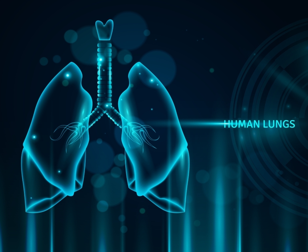 科技感现代医疗科技人体肺部扫描图片