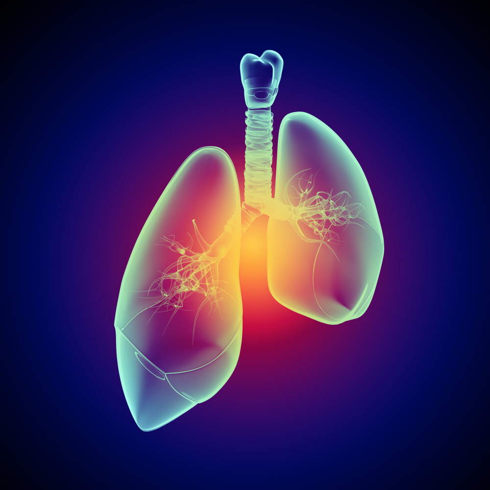 科技感现代医疗科技人体肺部扫描彩色图片