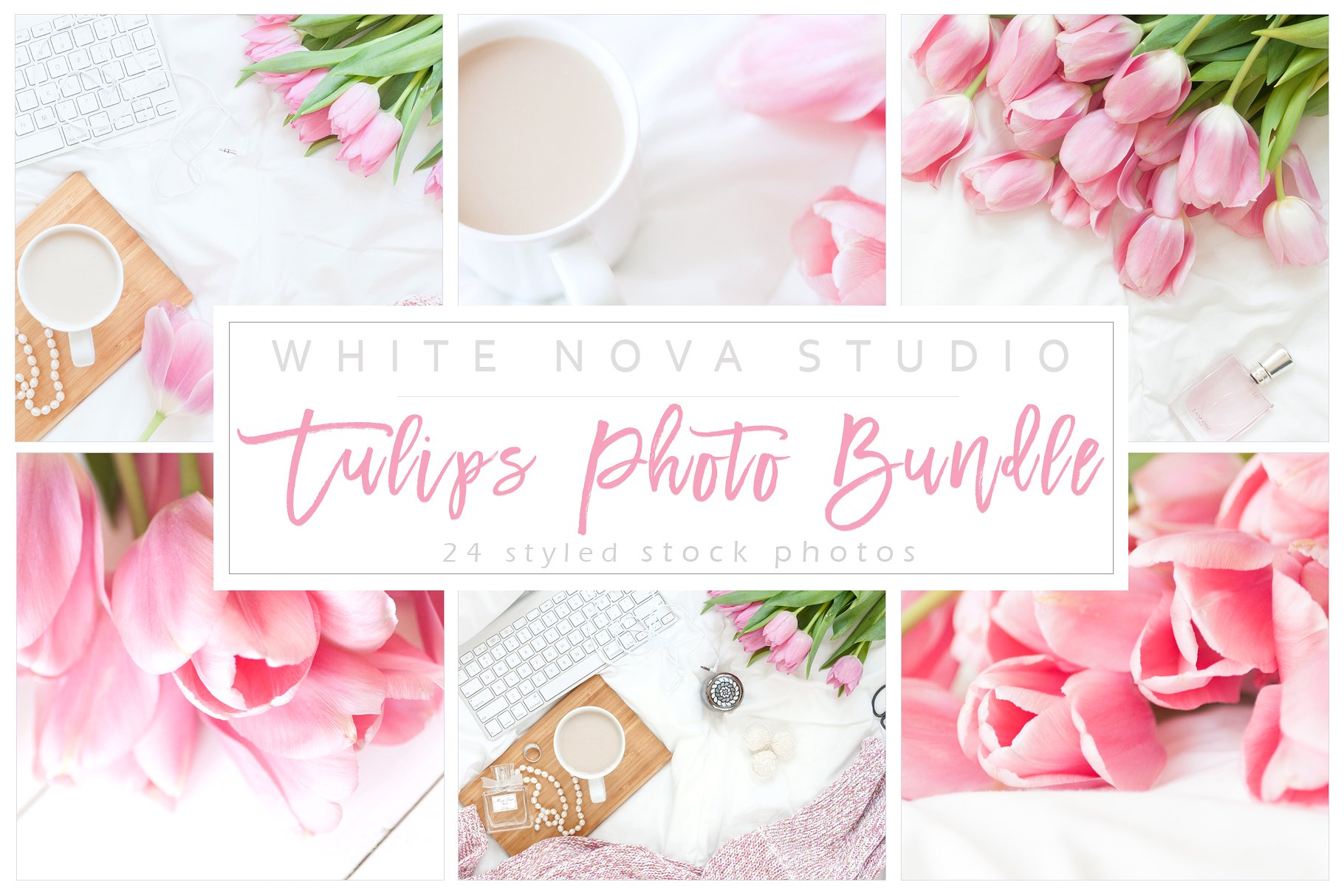 玫瑰花卉照片样机 Tulips Photo Bundle