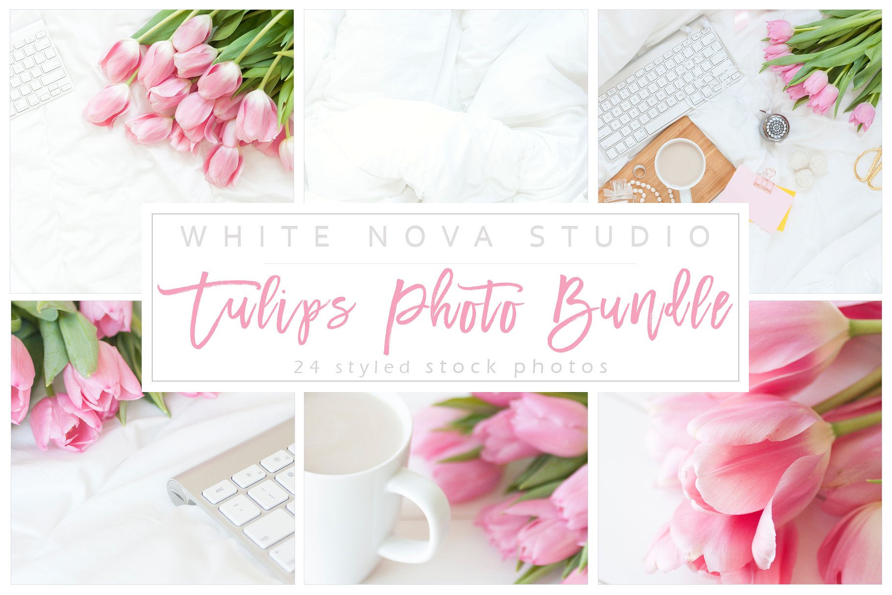 玫瑰花卉照片样机 Tulips Photo Bundle