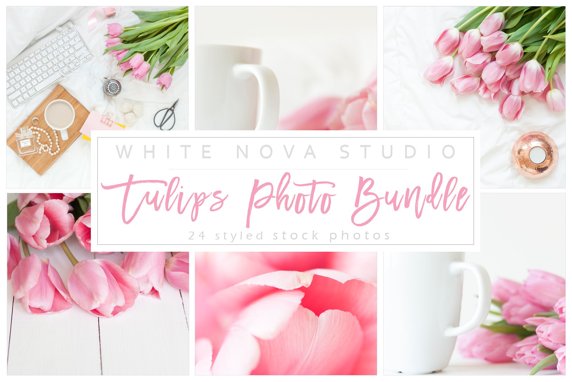 玫瑰花卉照片样机 Tulips Photo Bundle