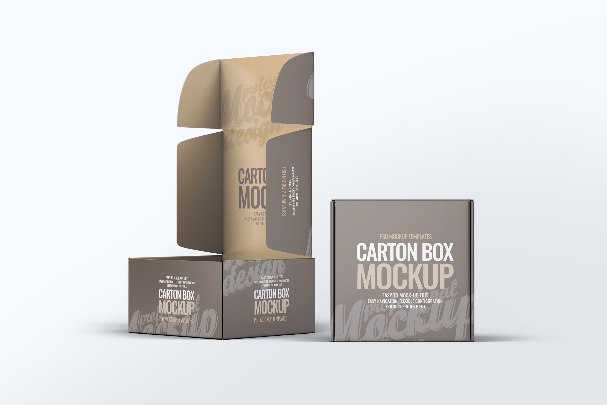 硬盒纸箱包装外观设计样机v1 Carton Box Mock
