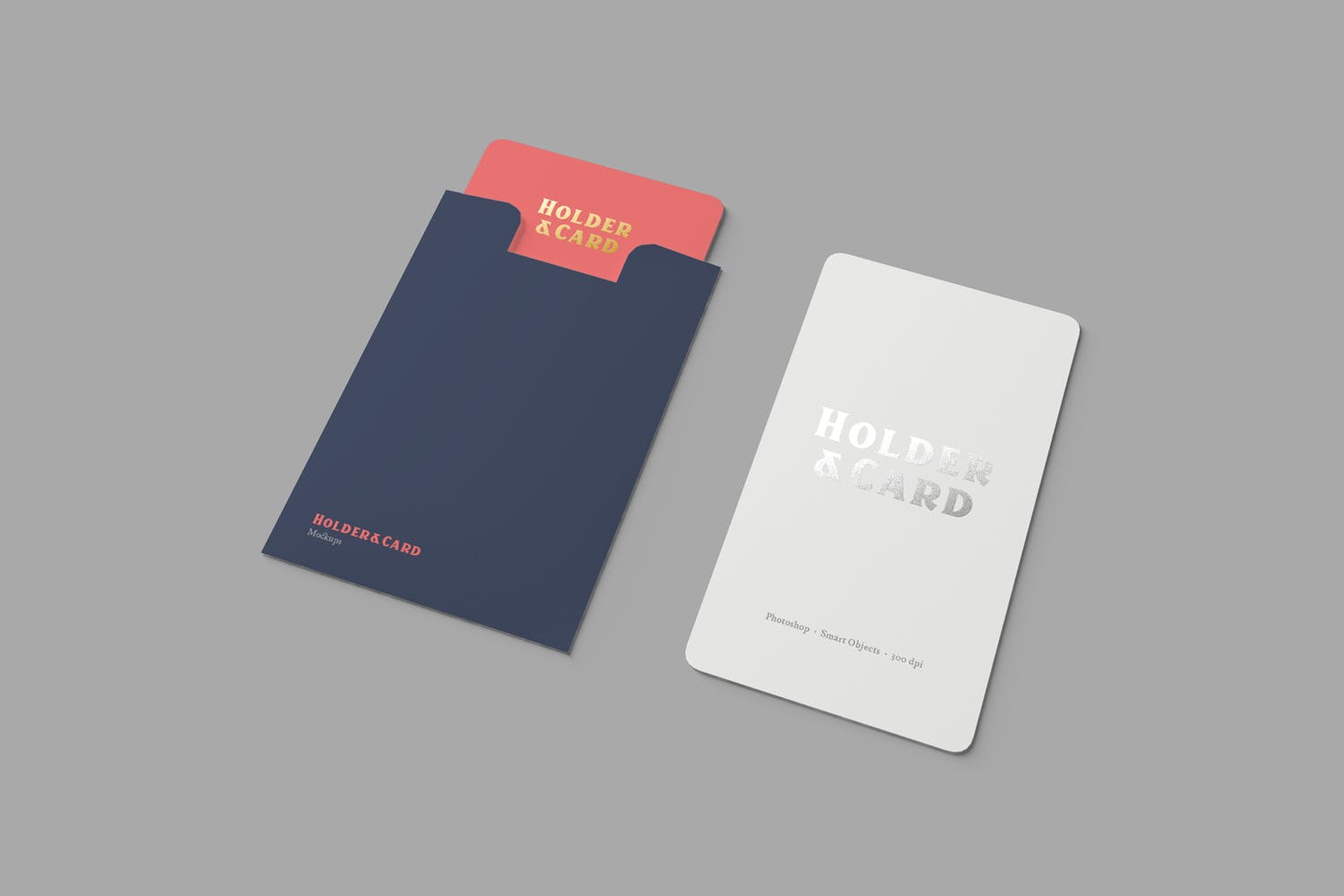 卡套设计效果图样机 Holder and Card Mock