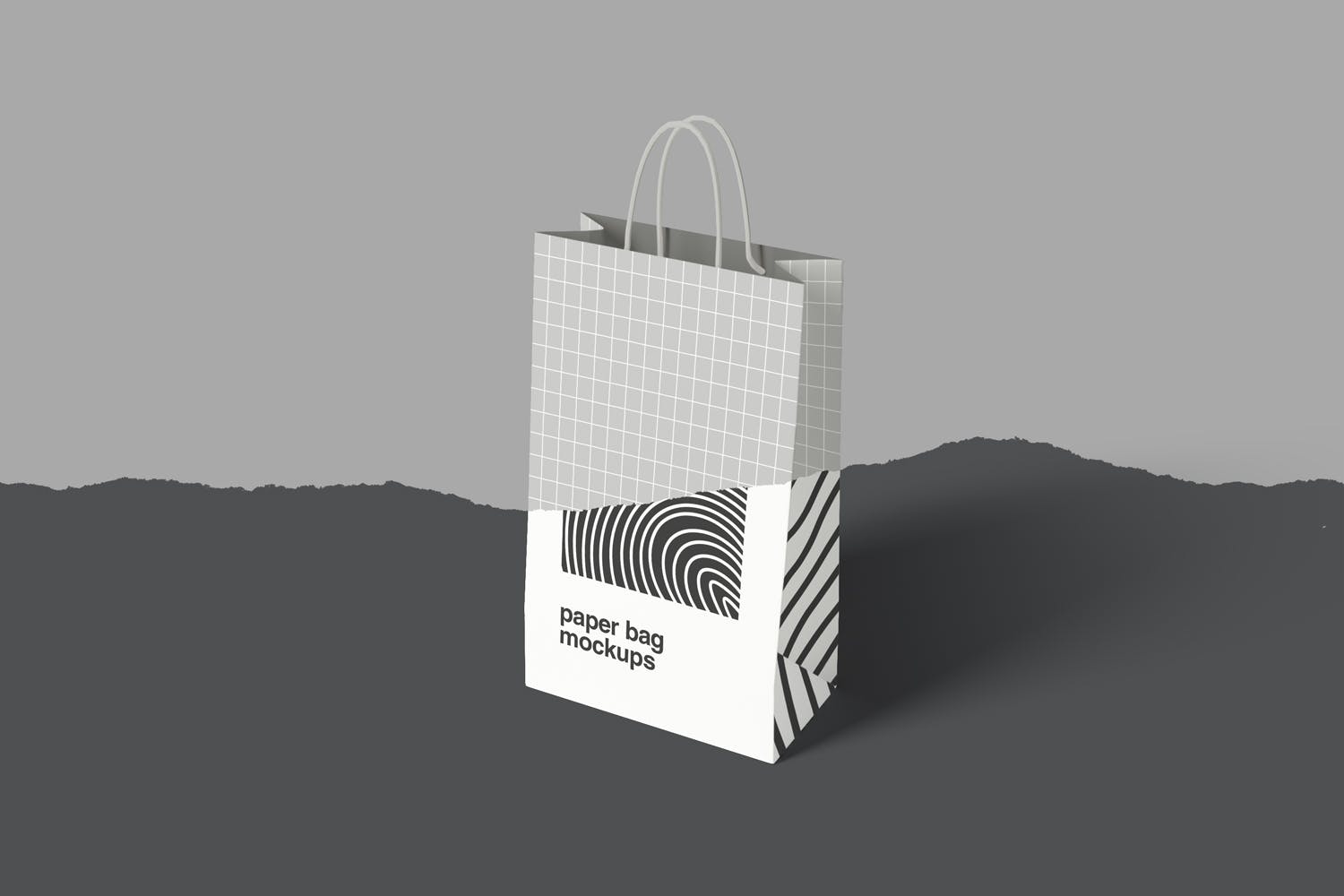 精品购物纸袋设计效果图样机 Paper Bag Mockup