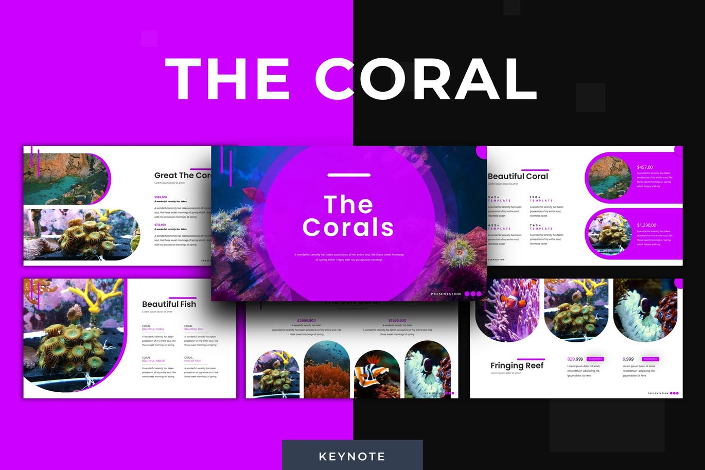 时尚高端绚丽珊瑚主题的keynote幻灯片演示模板