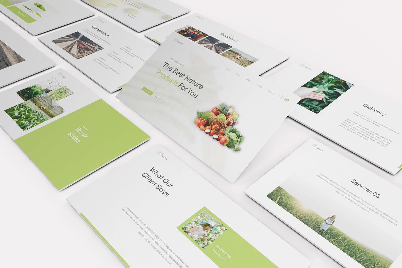 高端时尚清新简约绿色健康农业Google Slides谷歌幻