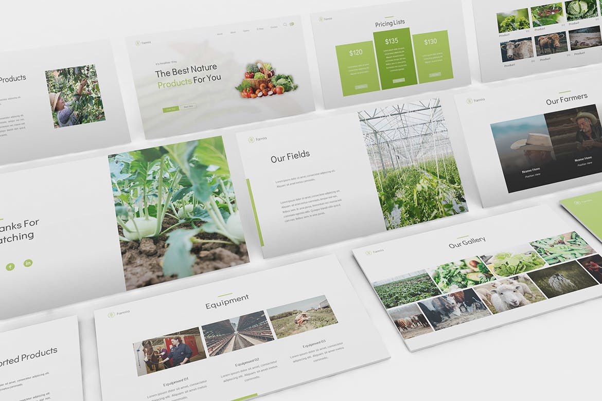 高端时尚清新简约绿色健康农业Google Slides谷歌幻