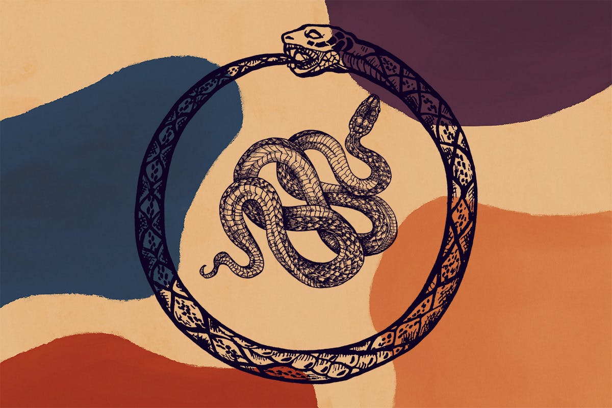少见稀有的蛇插画插图集合