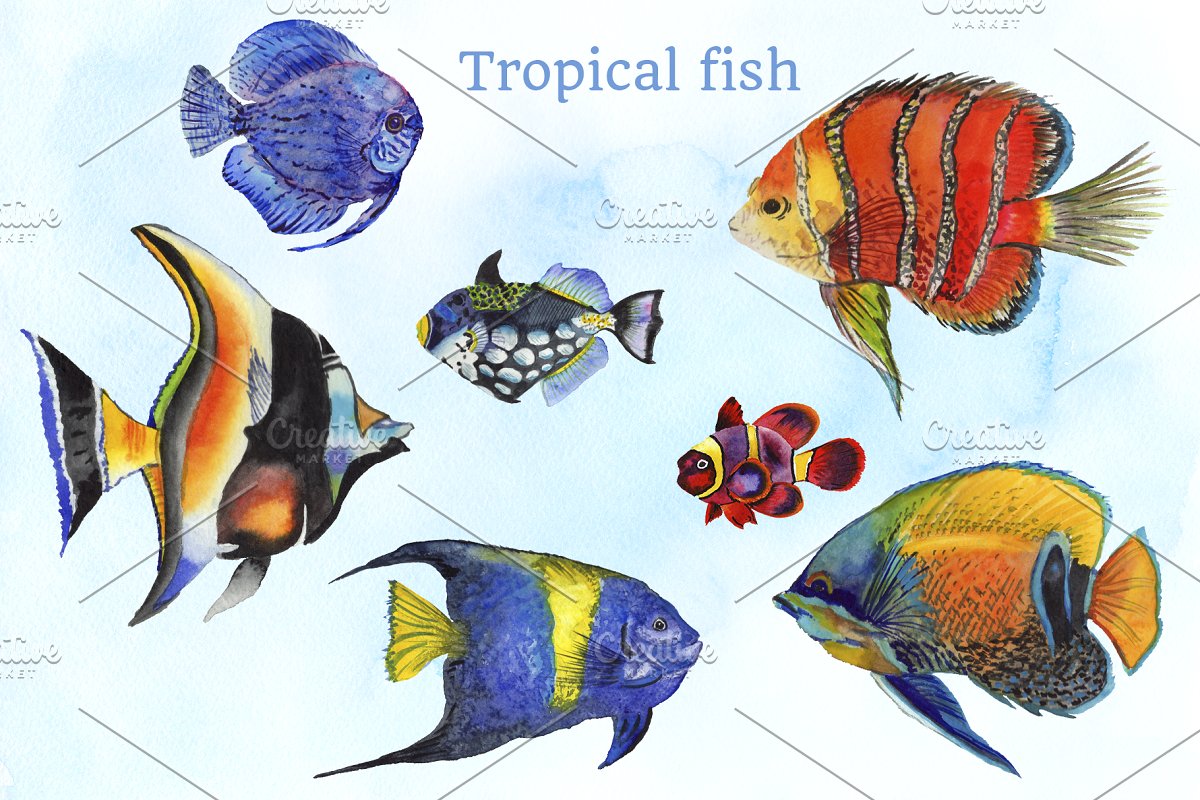 彩色海洋鱼类水彩剪贴画素材合集