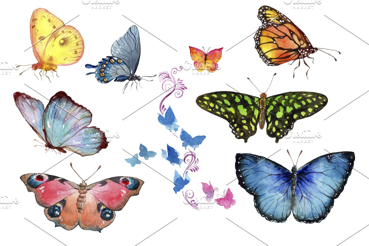 大自然彩色蝴蝶水彩剪贴画素材