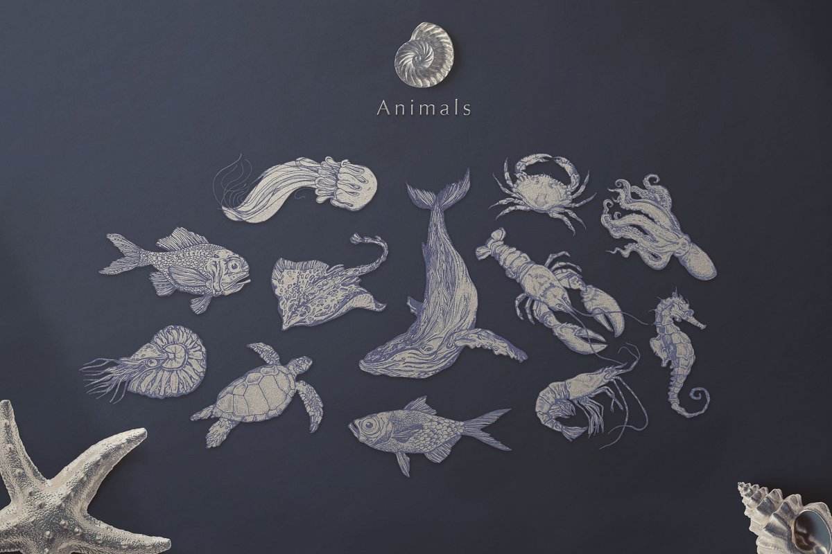 银色海洋生物手绘元素插画合集