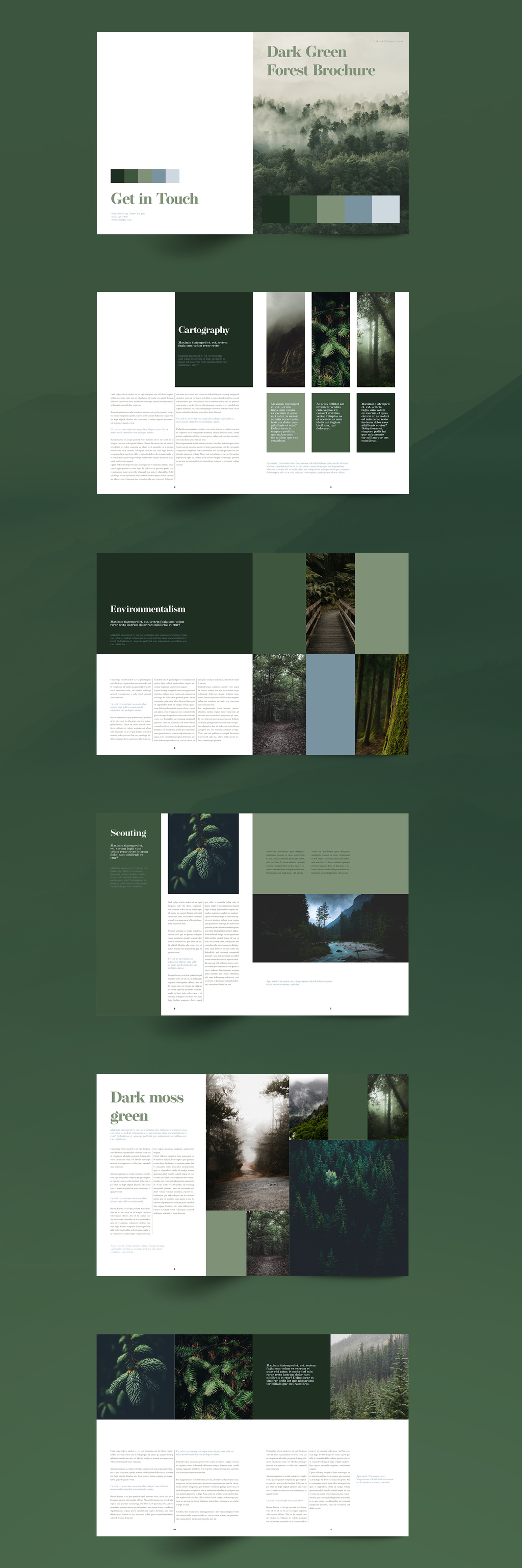 绿色主题森林杂志宣传册设计模板