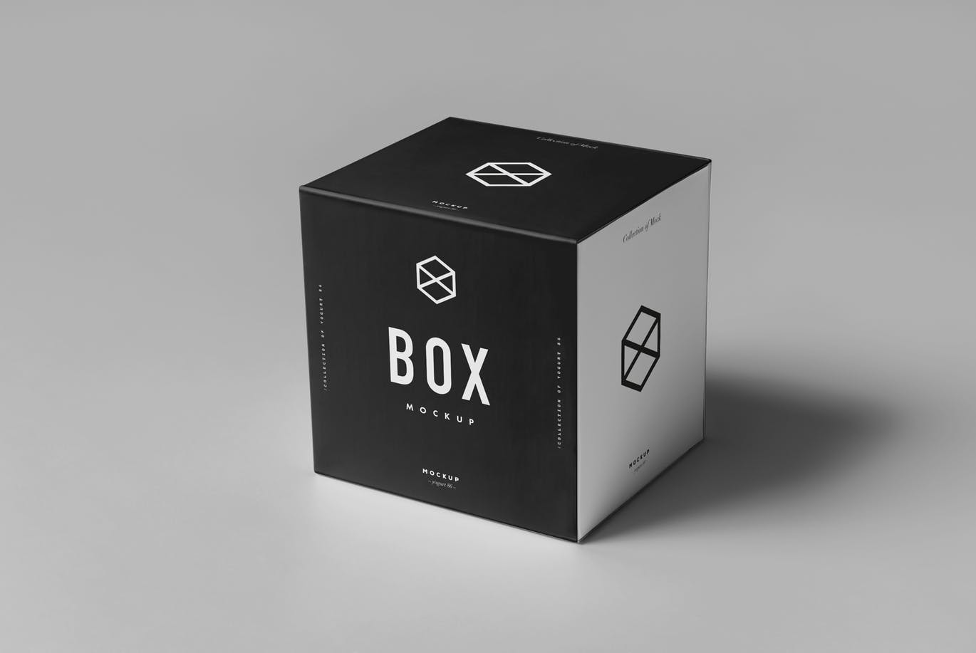 品牌精品礼物饰品服饰产品包装立体方形盒子展示样机