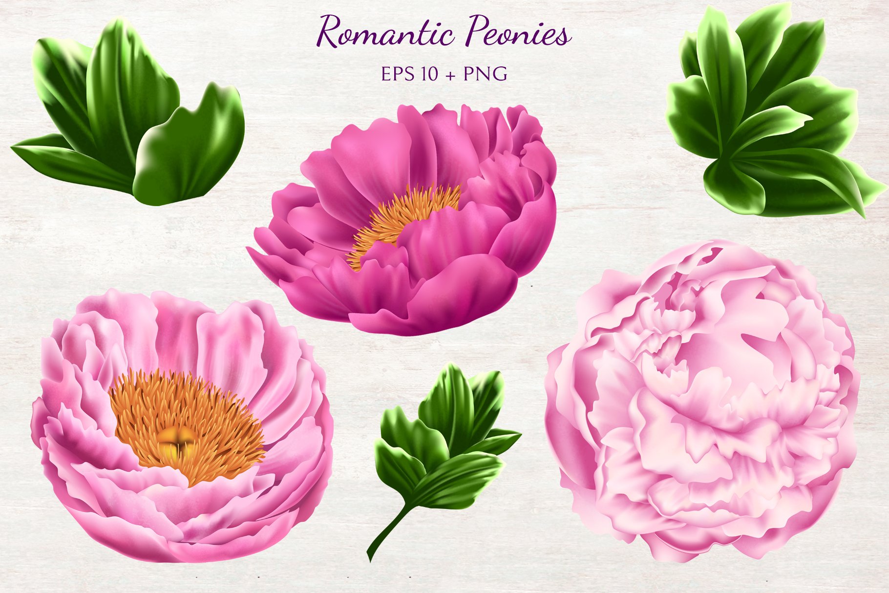 浪漫的夏季红牡丹免抠花卉合辑 Romantic Peonie