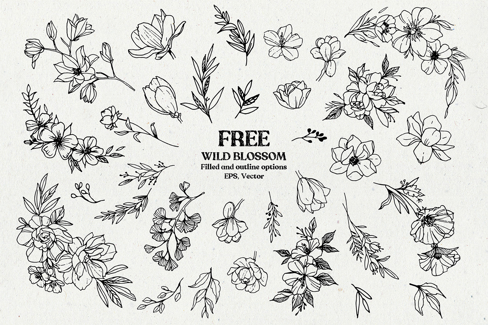 Wild Blossom - Hand sketched F