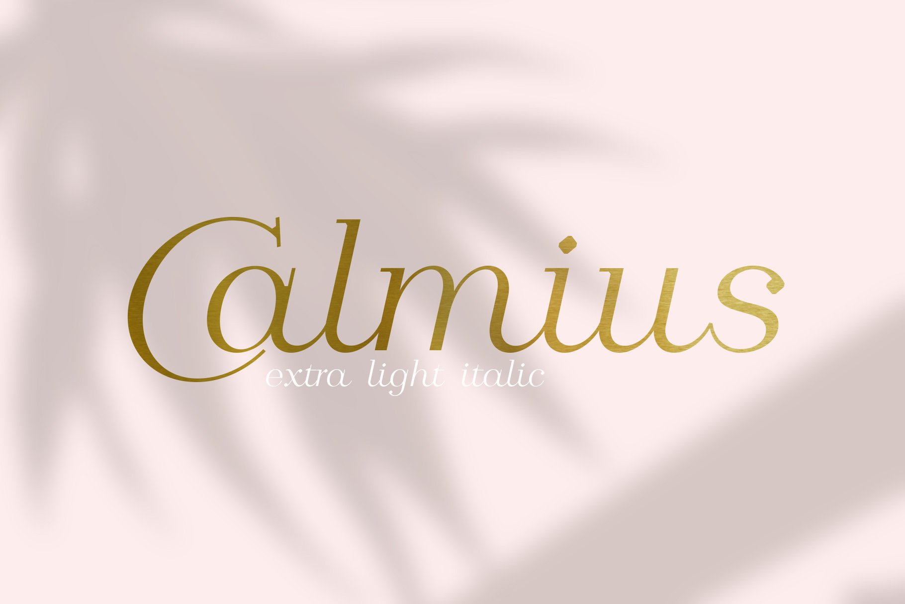 优雅的现代衬线英文字体 Calmius EL Italic