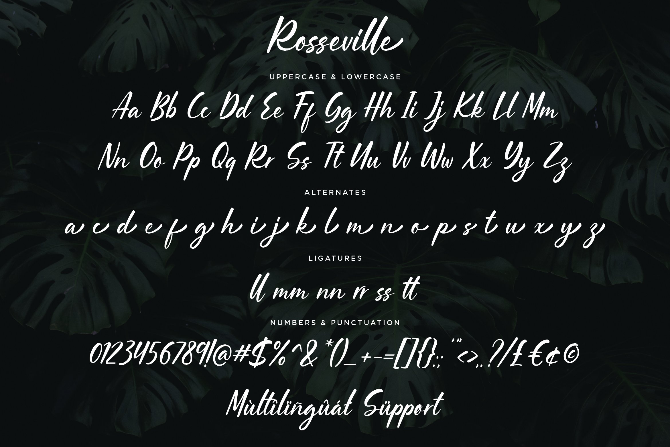 手写英文字体 Rosseville