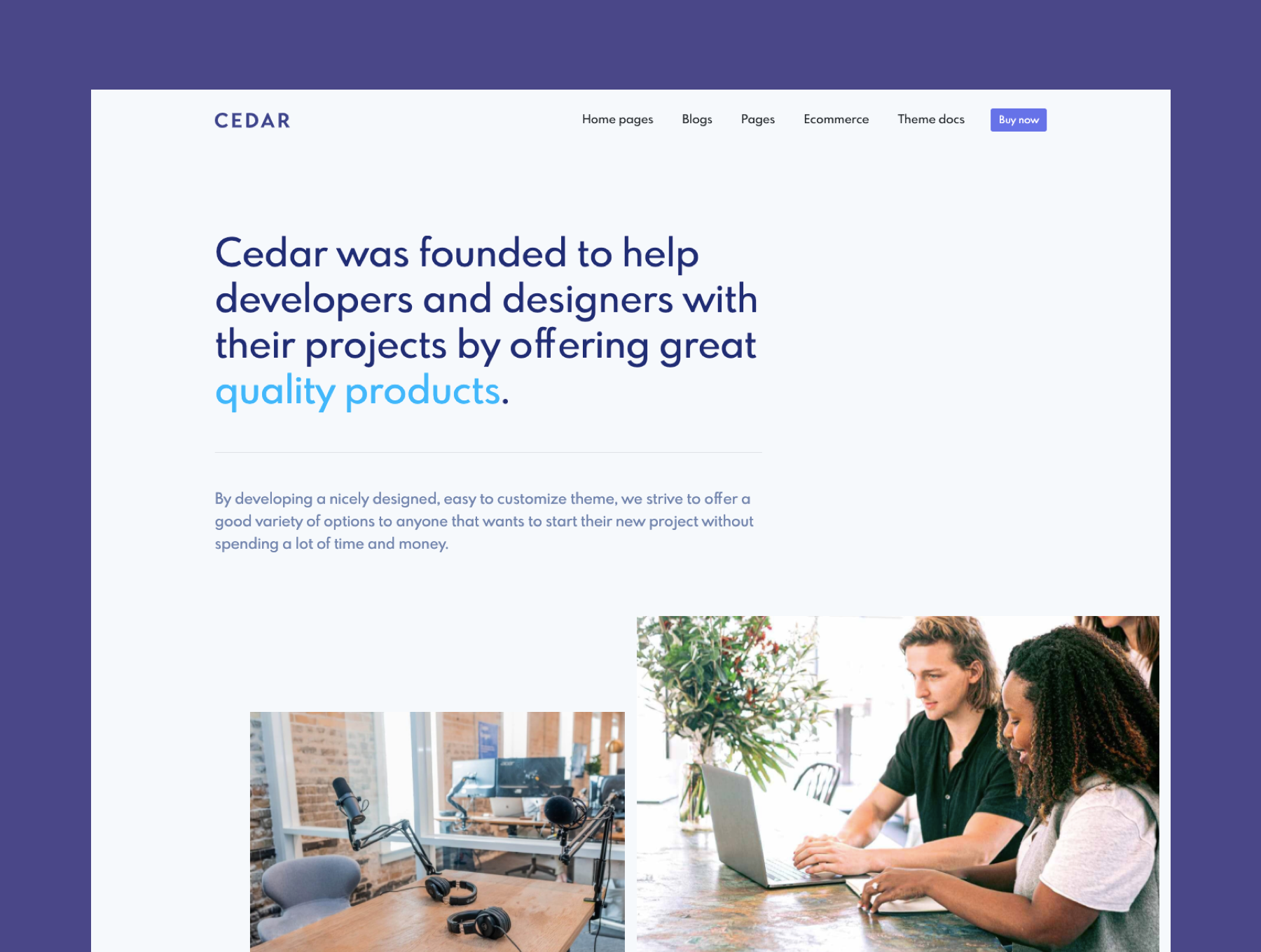 现代实用的 Bootstrap 网站模板素材 Cedar -