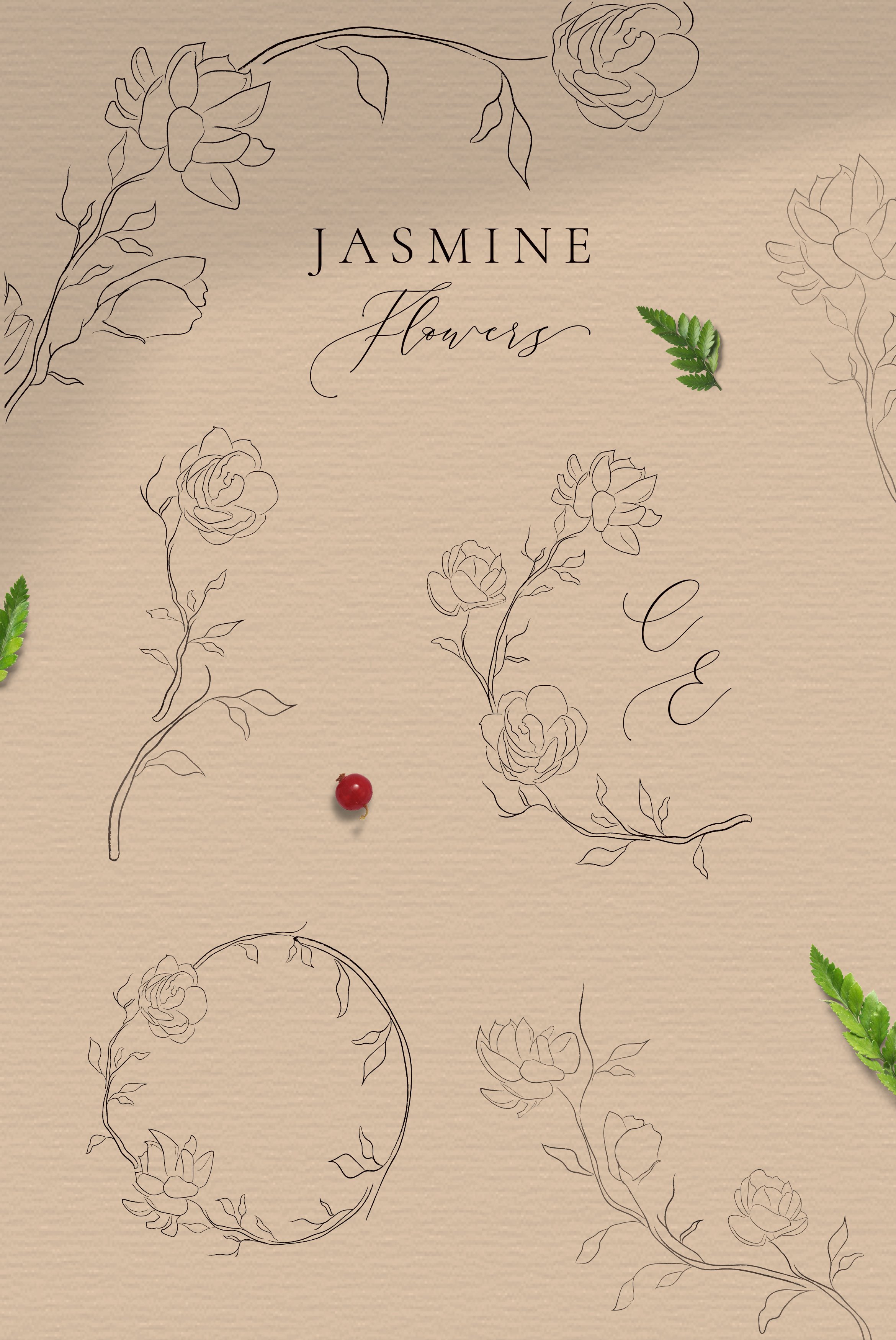 精美雅致的线描茉莉花花环花卉插画插图素材 Jasmine F