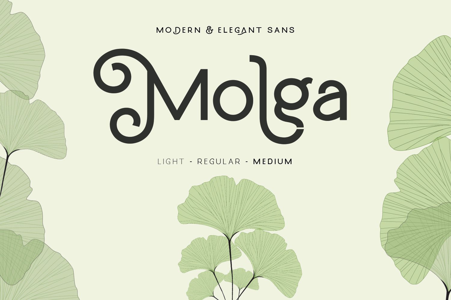 优雅的女性现代美体无衬线英文字体 Molga font